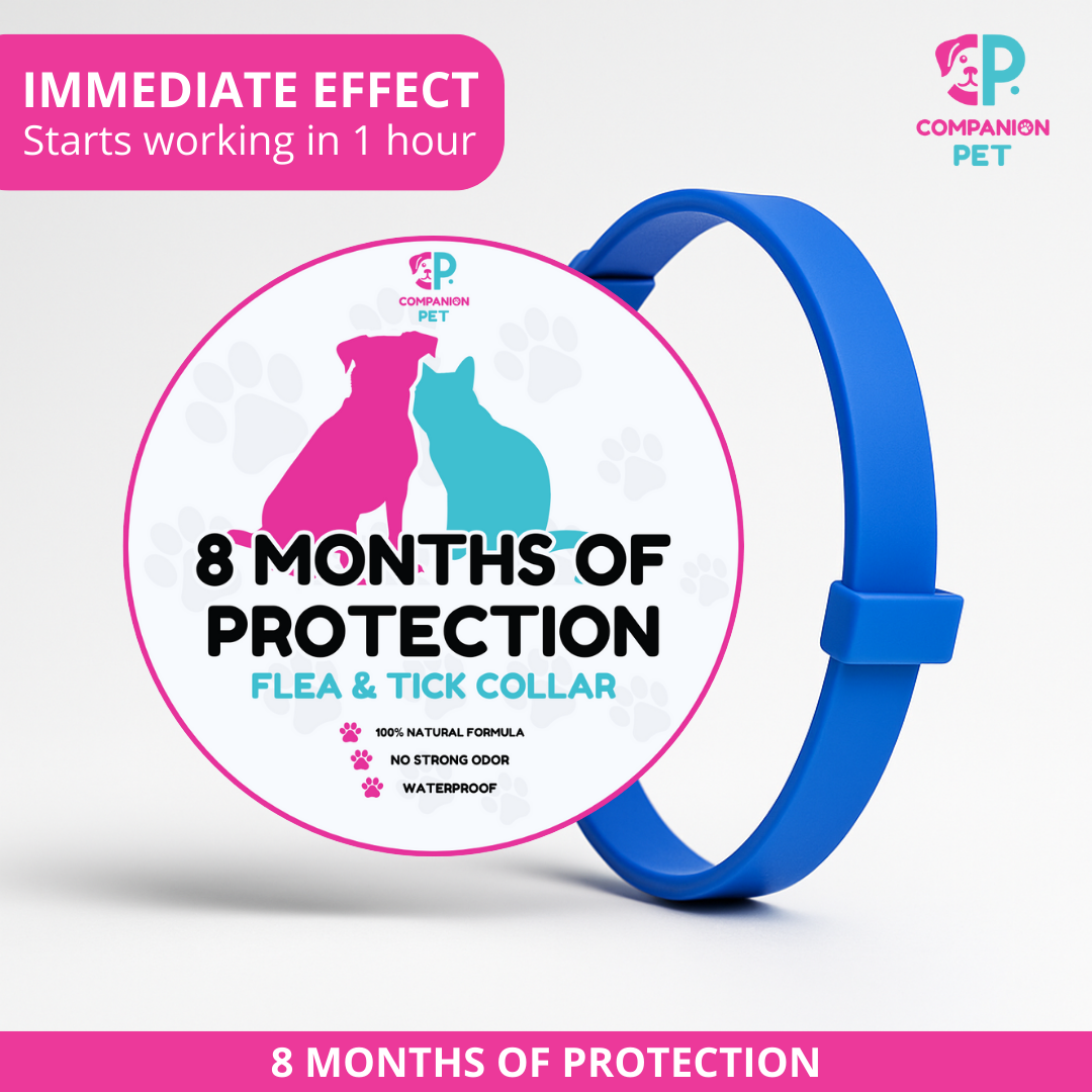 ¡Promoción Especial! Compra 1 y llévate otro ¡GRATIS!
8 Meses de Protección – Ajustable para Perros y Gatos – Talla 70cm
