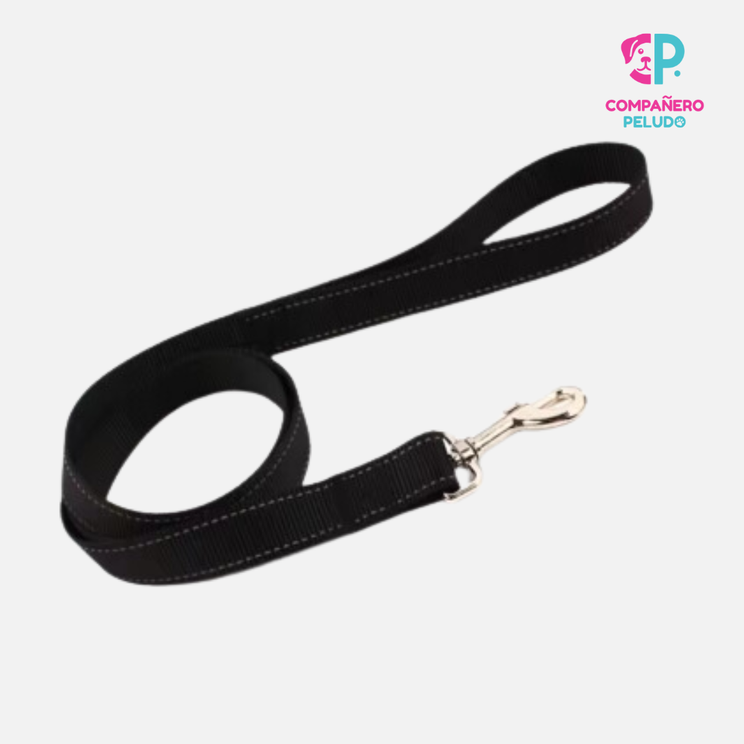 Guía resistente y cómoda para paseos más seguros