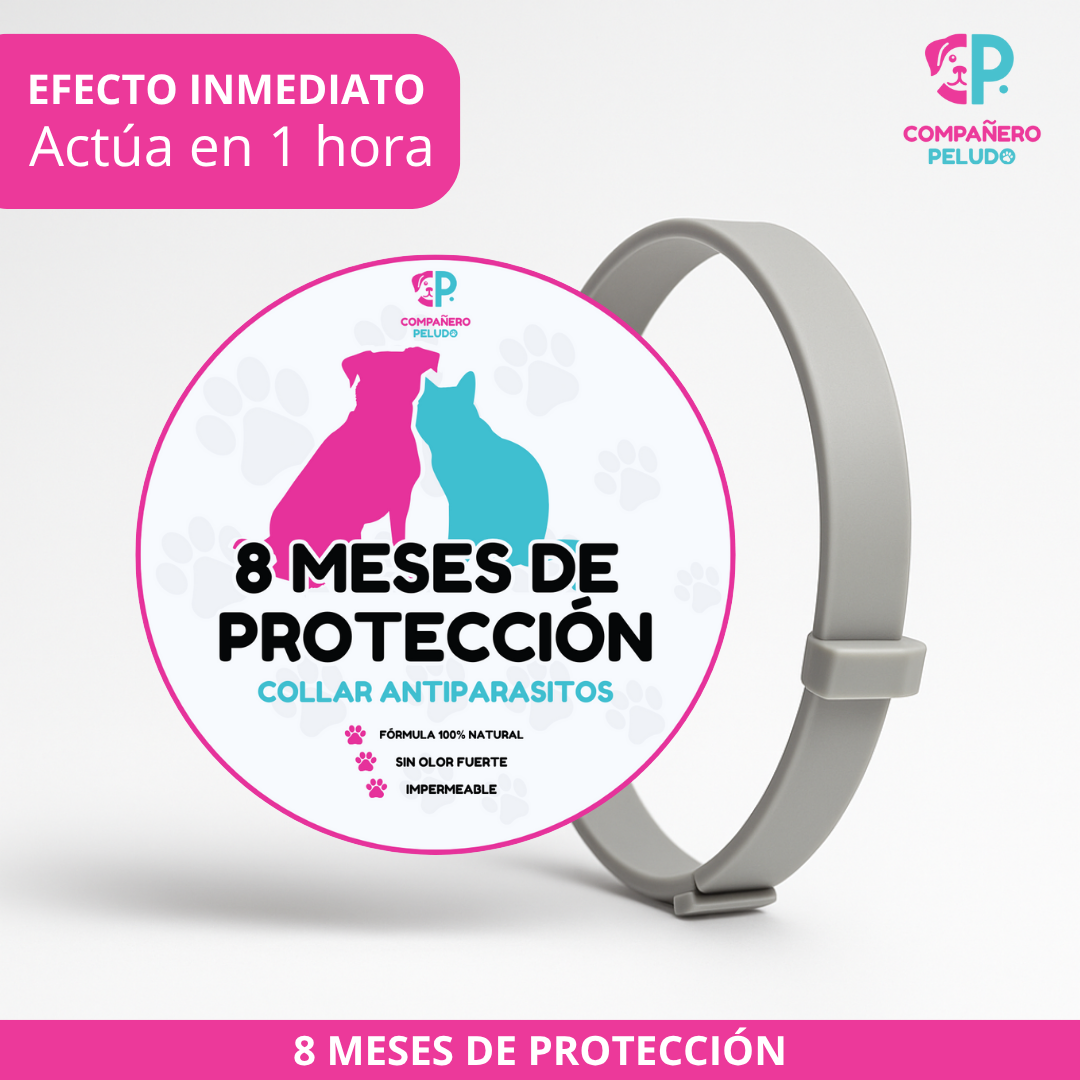 ¡Promoción Especial! Compra 1 y llévate otro ¡GRATIS! 
8 Meses de Protección – Ajustable para Perros y Gatos – Talla 70cm