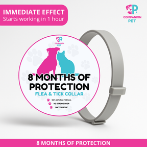¡Promoción Especial! Compra 1 y llévate otro ¡GRATIS! 
8 Meses de Protección – Ajustable para Perros y Gatos – Talla 70cm