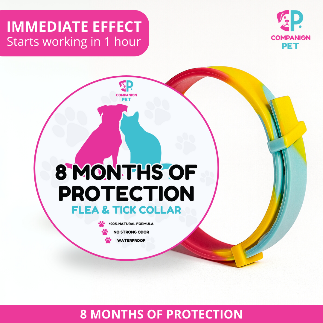 ¡Promoción Especial! Compra 1 y llévate otro ¡GRATIS! 
8 Meses de Protección – Ajustable para Perros y Gatos – Talla 70cm