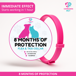 ¡Promoción Especial! Compra 1 y llévate otro ¡GRATIS! 
8 Meses de Protección – Ajustable para Perros y Gatos – Talla 70cm