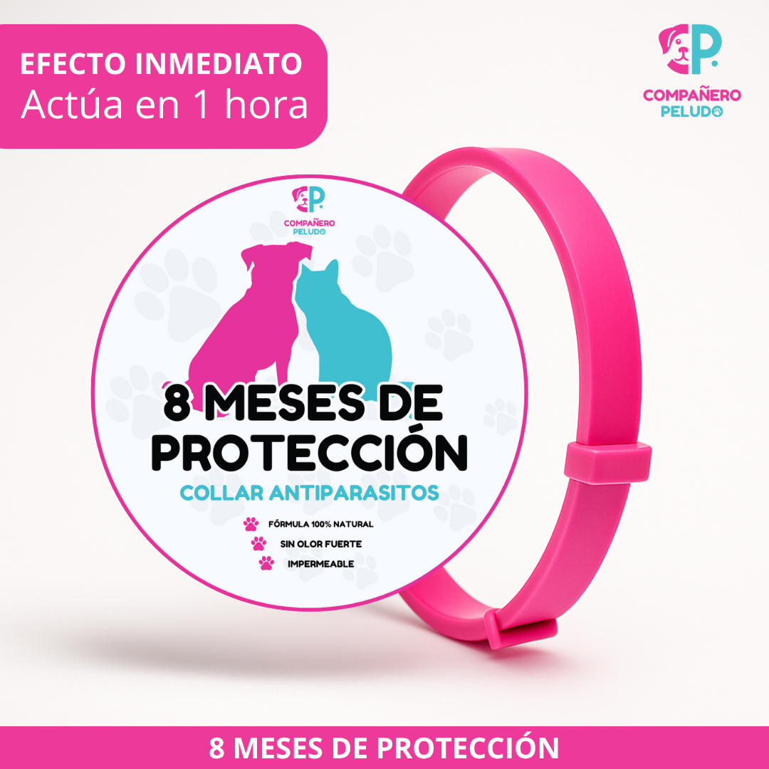 ¡Promoción Especial! Compra 1 y llévate otro ¡GRATIS! 
8 Meses de Protección – Ajustable para Perros y Gatos – Talla 70cm