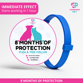 ¡Promoción Especial! Compra 1 y llévate otro ¡GRATIS! 
8 Meses de Protección – Ajustable para Perros y Gatos – Talla 70cm