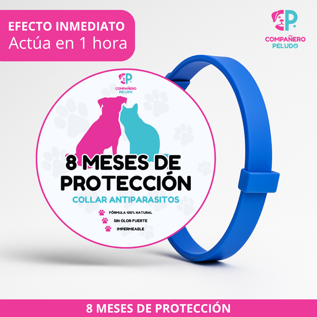 ¡Promoción Especial! Compra 1 y llévate otro ¡GRATIS! 
8 Meses de Protección – Ajustable para Perros y Gatos – Talla 70cm