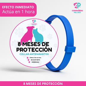 ¡Promoción Especial! Compra 1 y llévate otro ¡GRATIS! 
8 Meses de Protección – Ajustable para Perros y Gatos – Talla 70cm