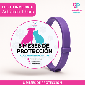 ¡Promoción Especial! Compra 1 y llévate otro ¡GRATIS! 
8 Meses de Protección – Ajustable para Perros y Gatos – Talla 70cm
