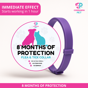 ¡Promoción Especial! Compra 1 y llévate otro ¡GRATIS! 
8 Meses de Protección – Ajustable para Perros y Gatos – Talla 70cm
