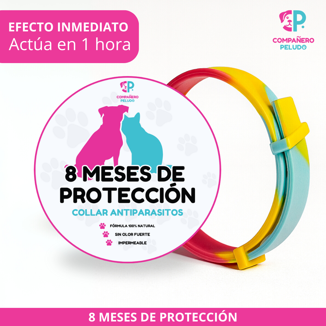 ¡Promoción Especial! Compra 1 y llévate otro ¡GRATIS! 
8 Meses de Protección – Ajustable para Perros y Gatos – Talla 70cm
