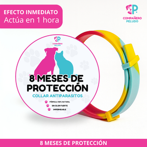 ¡Promoción Especial! Compra 1 y llévate otro ¡GRATIS! 
8 Meses de Protección – Ajustable para Perros y Gatos – Talla 70cm