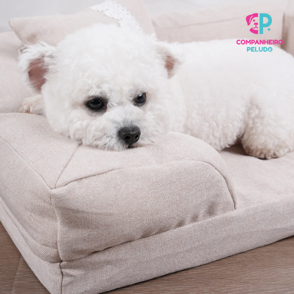 Cama Premium Lavable Para Perros Y Gatos